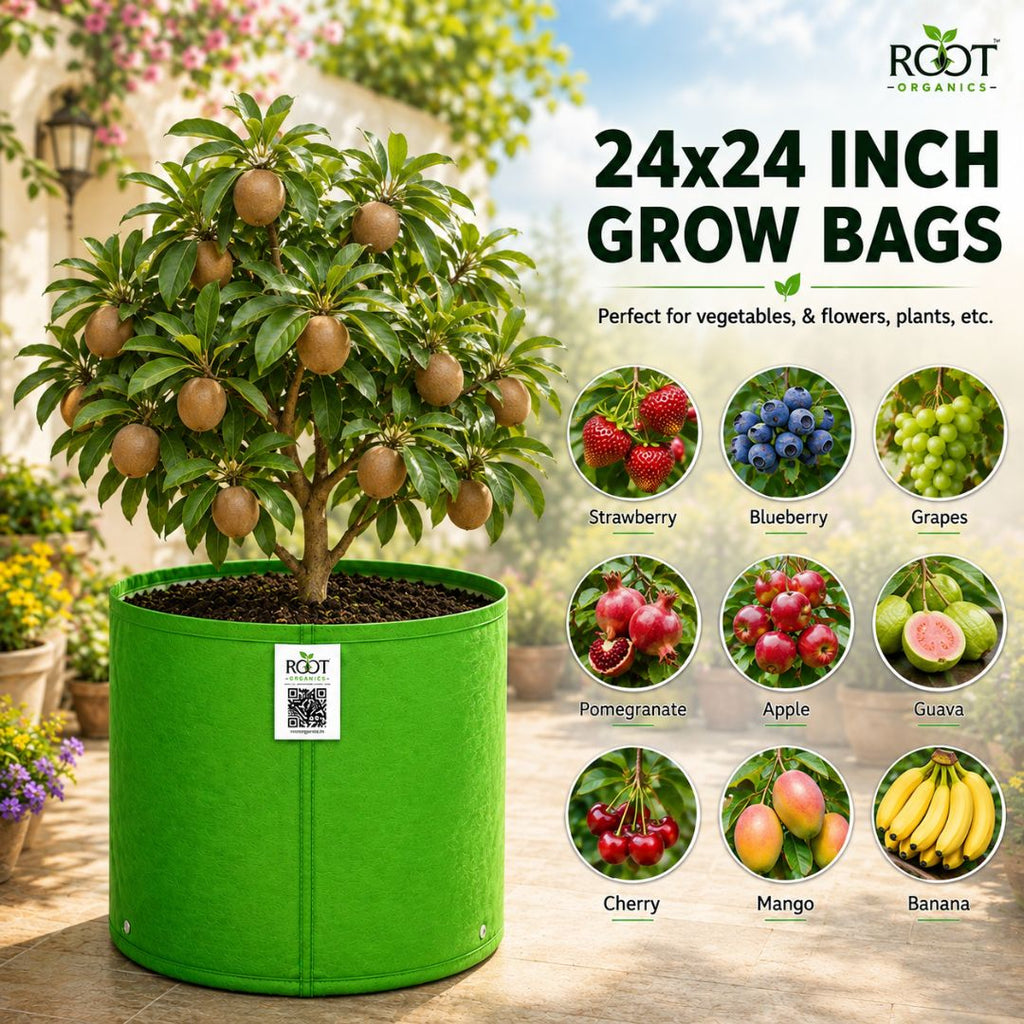 HDPE Circular Grow Bag 24x24 Inch | 260 GSM