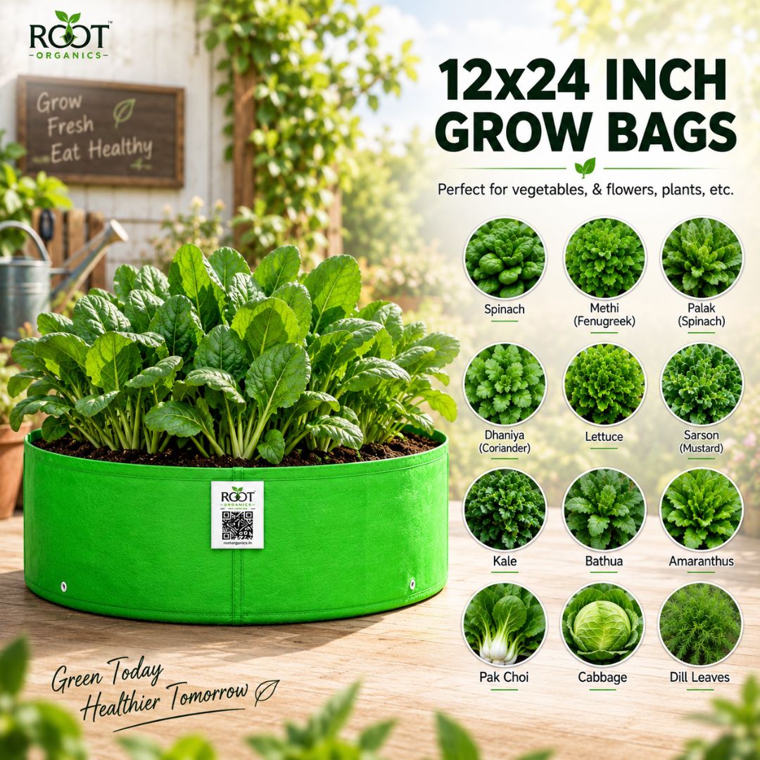 HDPE Circular Grow Bag 24x12 Inch | 260 GSM