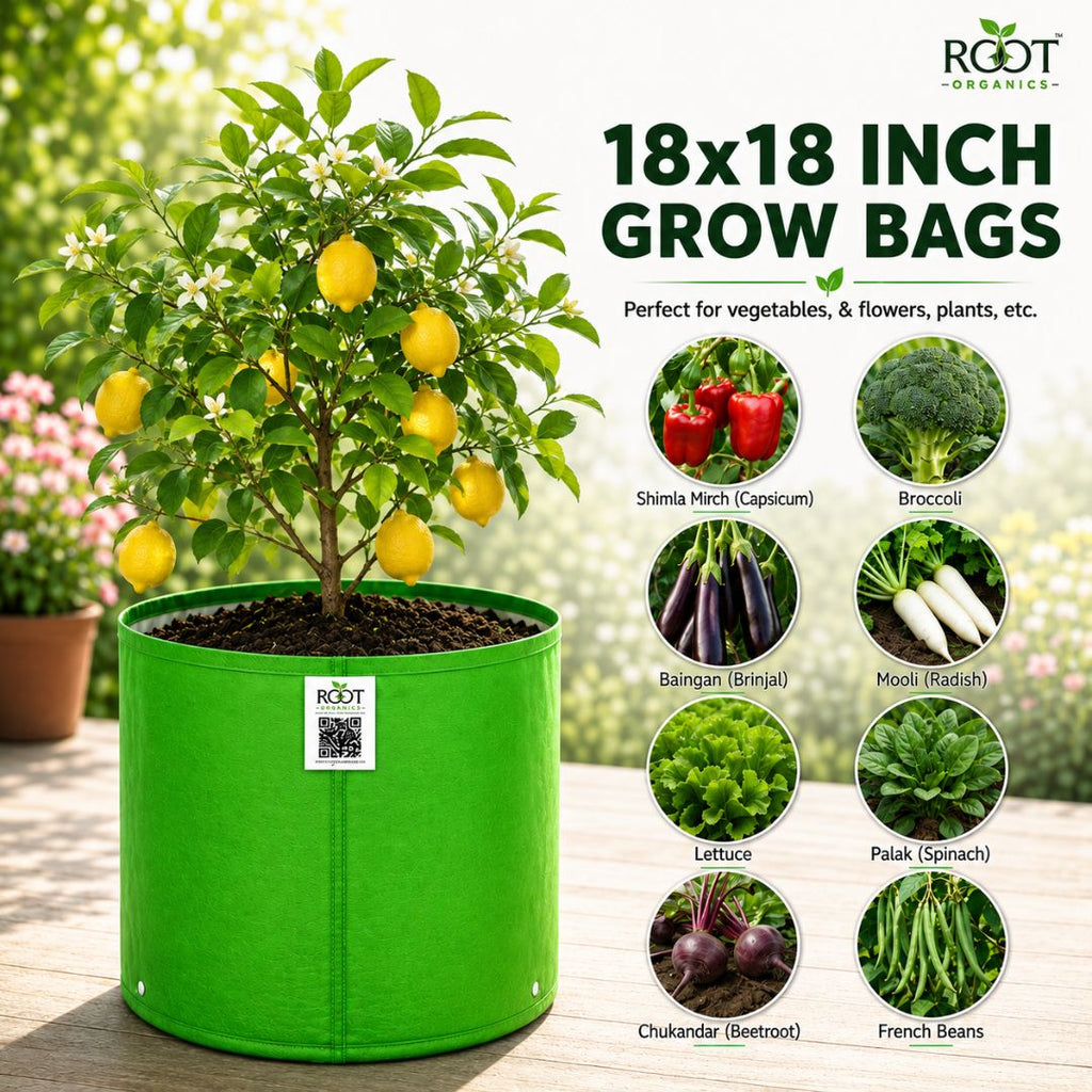 HDPE Circular Grow Bag 18x18 Inch | 260 GSM