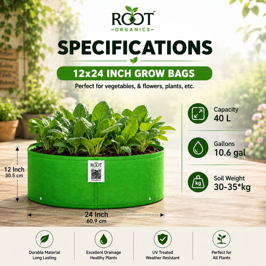 HDPE Circular Grow Bag 24x12 Inch | 260 GSM