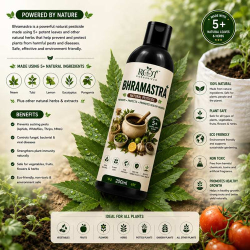Bhramastra