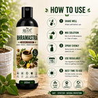 Bhramastra