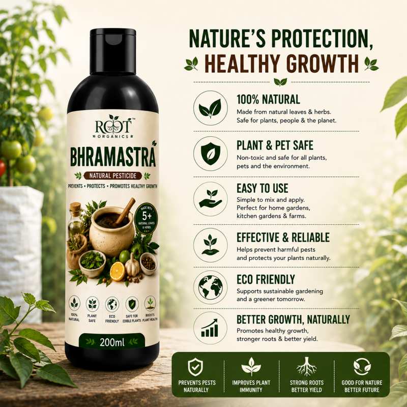 Bhramastra