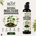 Natural insecticide