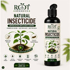 Natural insecticide