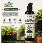 Natural insecticide