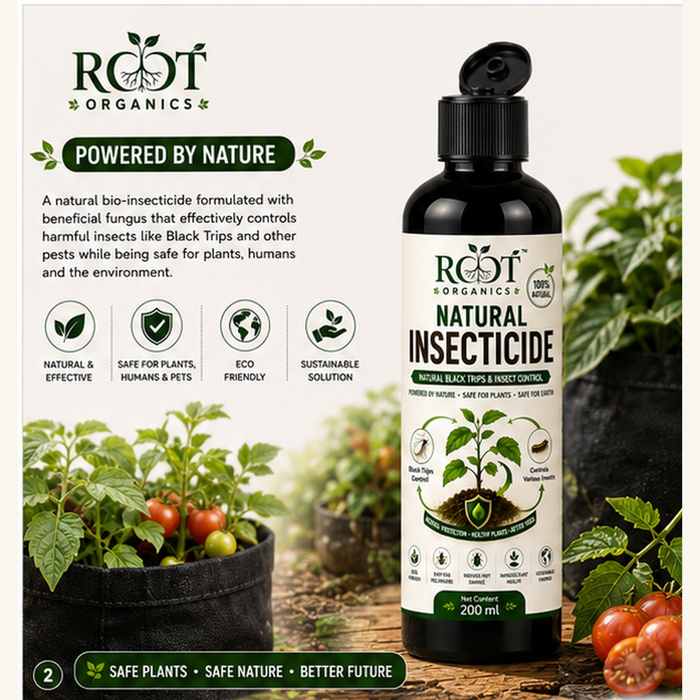 Natural insecticide