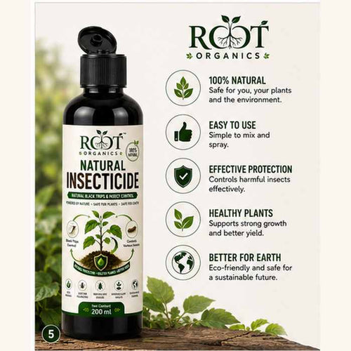 Natural insecticide